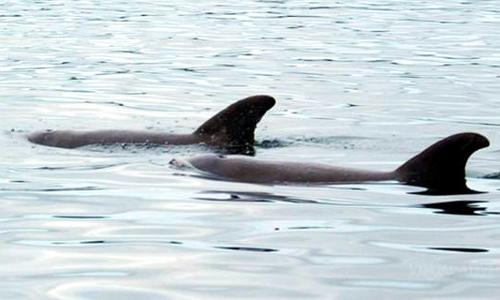Fotografa de Naturaleza